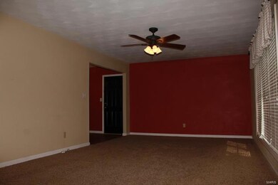 3 Mileva Ct, Farmington, MO 63640 - photo 6