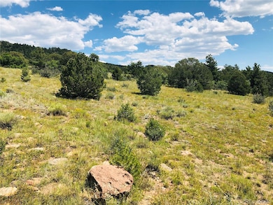 0 Rosebush Rd, Canon City, CO 81212 - photo 7