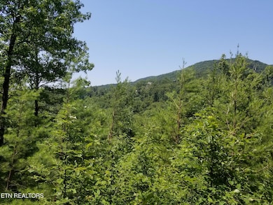 0 Fern Point Dr, Sevierville, TN 37862 - photo 4