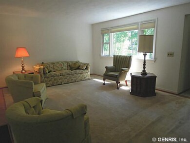 Living Room. Large living room with hardwood floor