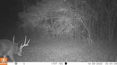 5302 Bend Rd, Vaughan, MS 39179 - photo 4