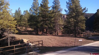 0 Aster Ln unit 723523, Durango, CO 81301 - photo 2