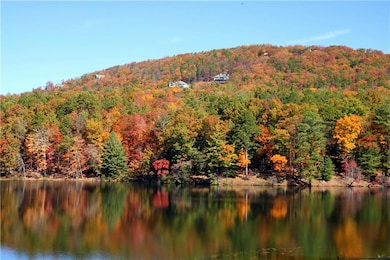 Water view with a mountain view
