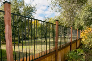 Backyard Trail View 1