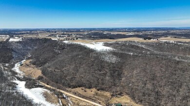 XX57 E Burns Valley Rd, Wilson Township, MN 55987 - photo 6