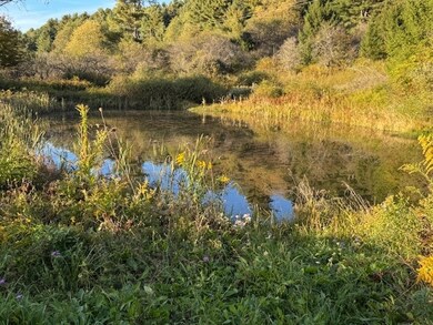 4380 New York 80, Columbus, NY 13460 - photo 4