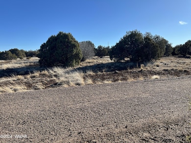 2036 Sitgreaves Ranch Rd, Show Low, AZ 85901 - photo 5