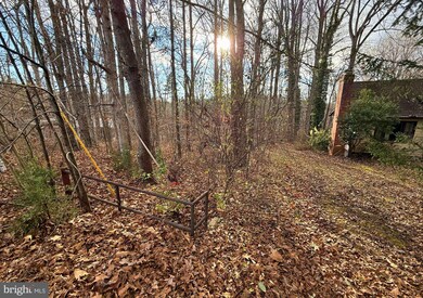 LOT 1244 N Lakeshore Dr, Louisa, VA 23093 - photo 5