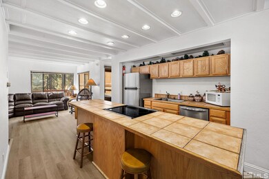 162 Holly Ln, Glenbrook, NV 89413 - photo 6