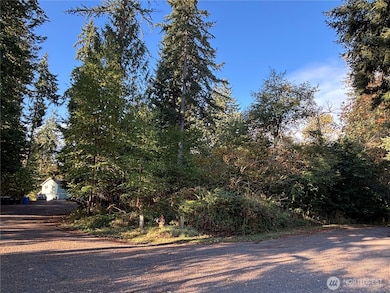 17745 Vine Ln SE, Yelm, WA 98597 - photo 2