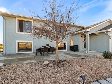 100 Pleasure Trail, Penrose, CO 81240 - photo 2