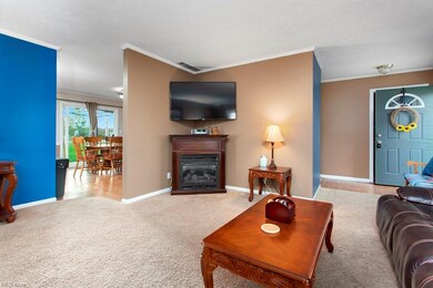 17384 Fairway Dr, Lagrange, OH 44050 - photo 4