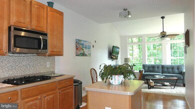 121 Teapot Ct, Reisterstown, MD 21136 - photo 6