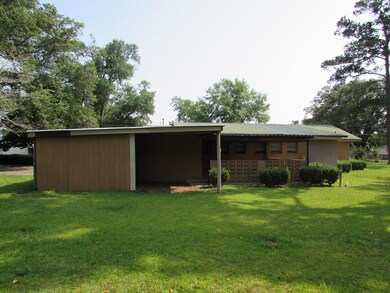 114 E Bainbridge St, Bainbridge, GA 39819 - photo 2