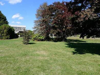 Yard/Garden.