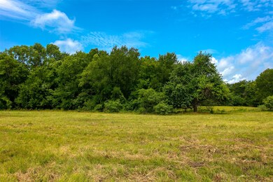 TBD Cr 207a, Plantersville, TX 77363 - photo 6