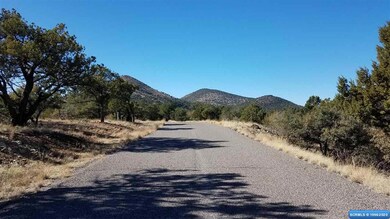 45 Vesuvius Way, Silver City, NM 88061 - photo 7