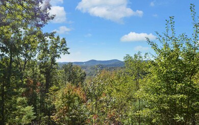 Additional View