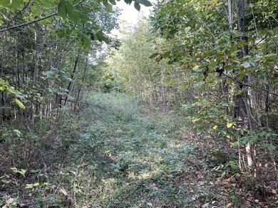Driveway 1