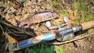 13347 Henry Rd, Natural Bridge, NY 13665 - photo 4