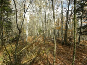 Lot #4 Spaulding Rd, Saint Johnsbury, VT 05819 - photo 5