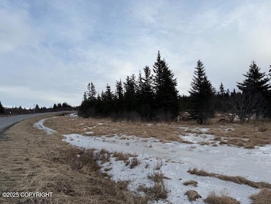 26220 Sterling Hwy, Anchor Point, AK 99556 - photo 5