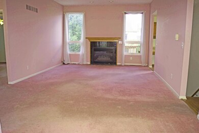 517 White Pine Blvd, Lansing, MI 48917 - photo 6