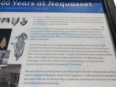 Nequasset Brook has been a hub of...