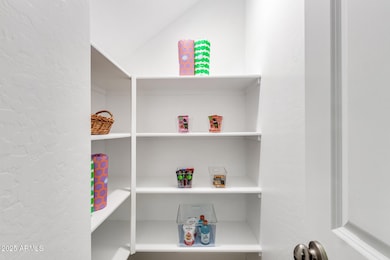 Ample Walk-In Pantry