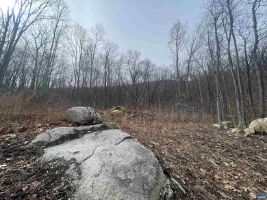 TBD Cub Creek Rd unit 1B, Massies Mill, VA 22967 - photo 4