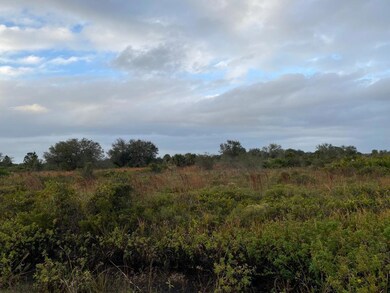 0 314th St NW unit F10498706, Okeechobee, FL 34972 - photo 6