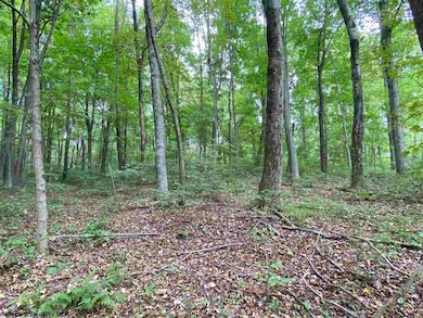 TBD Helens Run Rd, Worthington, WV 26591 - photo 2