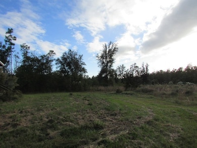 7732 Brest Station Rd, Baconton, GA 31716 - photo 3