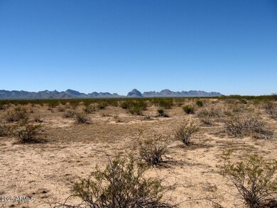 Tonopah 4