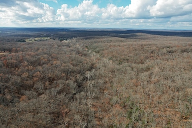 000 Hwy Pp, Collins, MO 64738 - photo 3