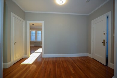 315 Tappan St unit 5, Brookline, MA 02445 - photo 5
