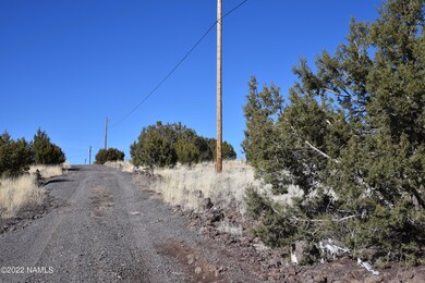 30219004b N Francis Ln, Ash Fork, AZ 86320 - photo 4