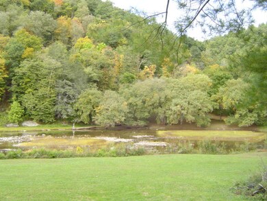 river fron back yard