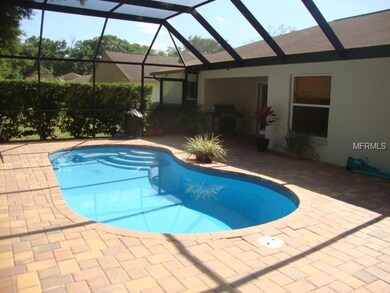 Beautiful Pool