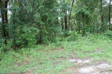 9761 SW 190 Terrace, Undetermined-Other, FL 34432 - photo 5