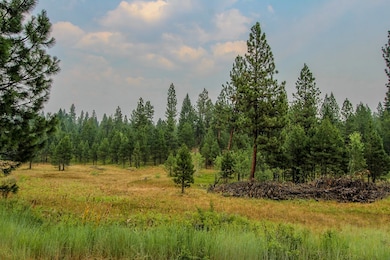 6 Silver Stone Ct unit 9, Cascade, ID 83611 - photo 3