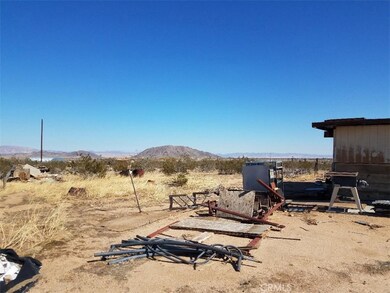 1176 Single Tree Rd, Landers, CA 92285 - photo 3