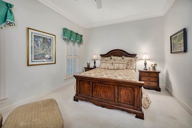 Downstairs guest bedroom