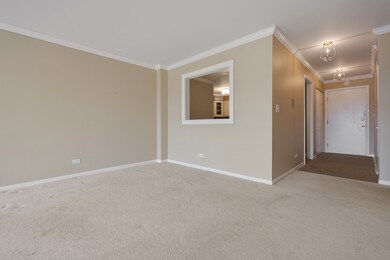 441 N Park Blvd unit 3E, Glen Ellyn, IL 60137 - photo 7