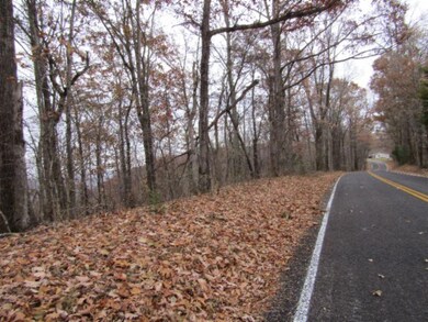 13ac Upper Crab Rd, Jamestown, TN 38556 - photo 2