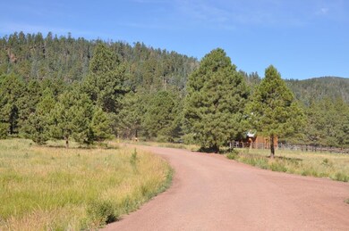 67 County Rd N 1330 Rd unit 7, Greer, AZ 85927 - photo 2