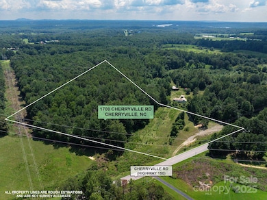 1708 Cherryville Rd, Grover, NC 28073 - photo 4