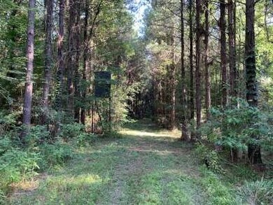 . Old Hwy 51 S, Osyka, MS 39657 - photo 6