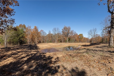 14416 Truelove Rd, West Fork, AR 72774 - photo 3