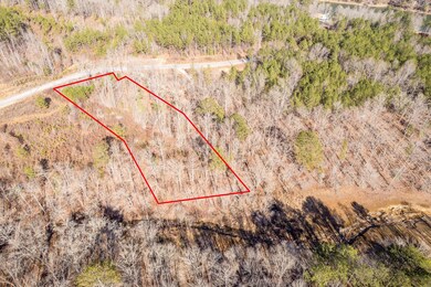 LOT 63 Shoreside at Sipsey, Double Springs, AL 35553 - photo 4